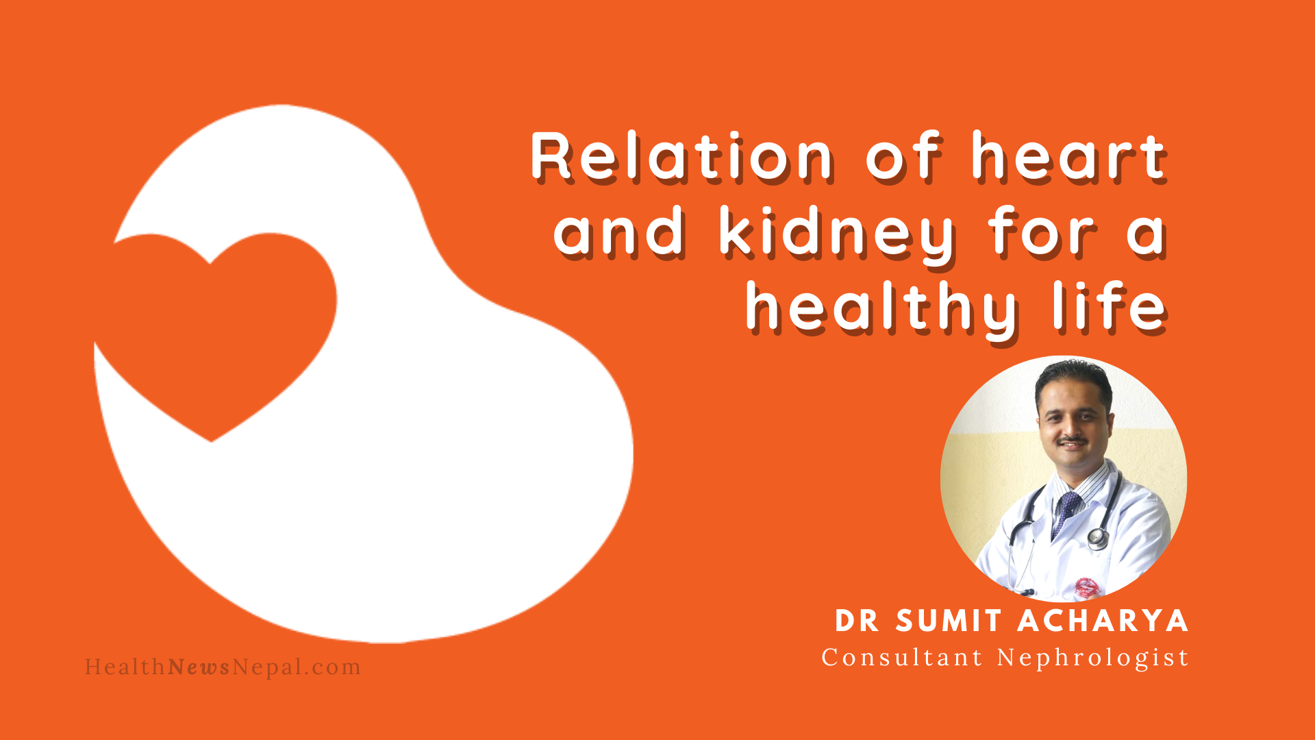 Relation of heart and kidney for a healthy life